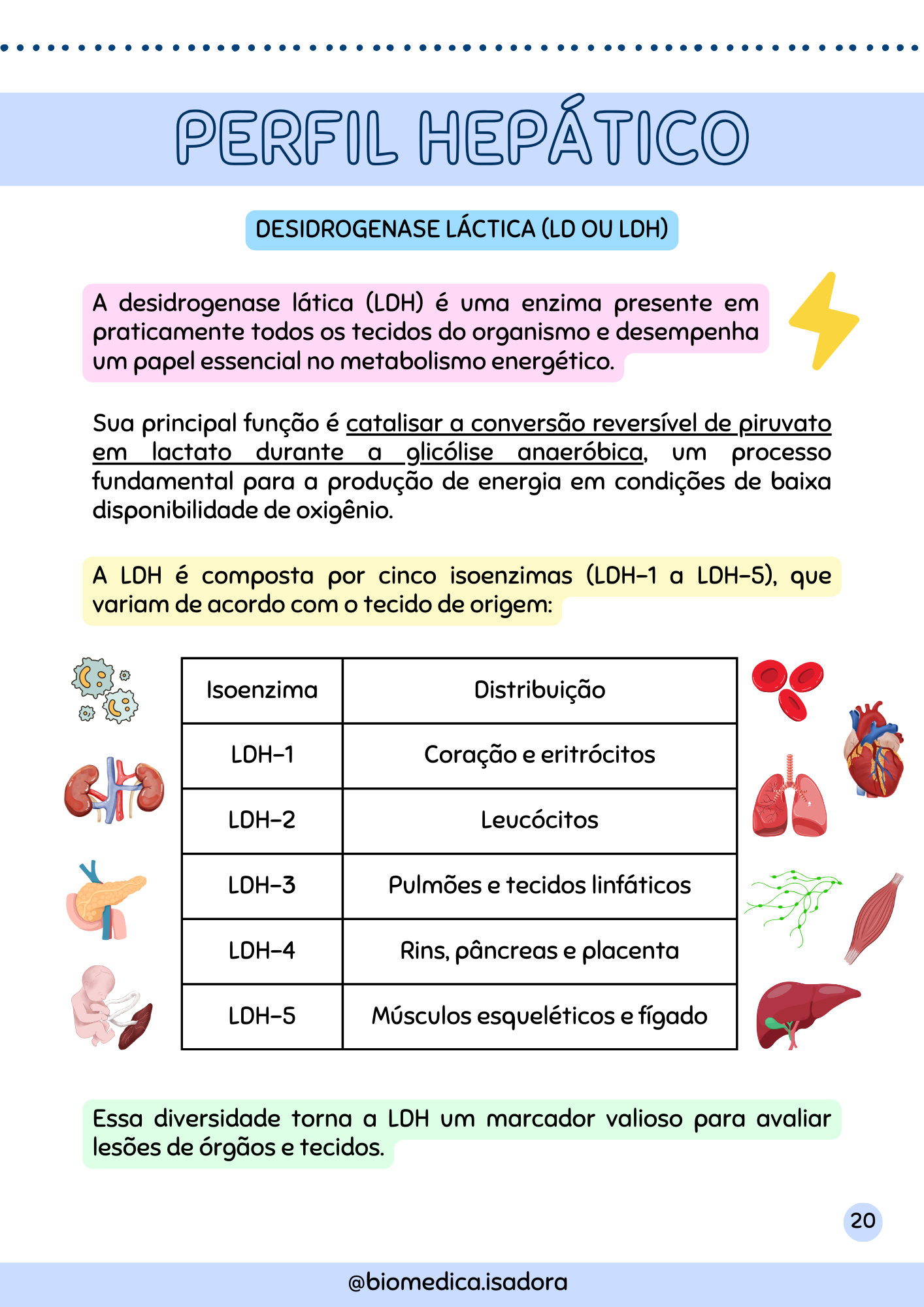 Resumo de Bioquímica Clínica (5)