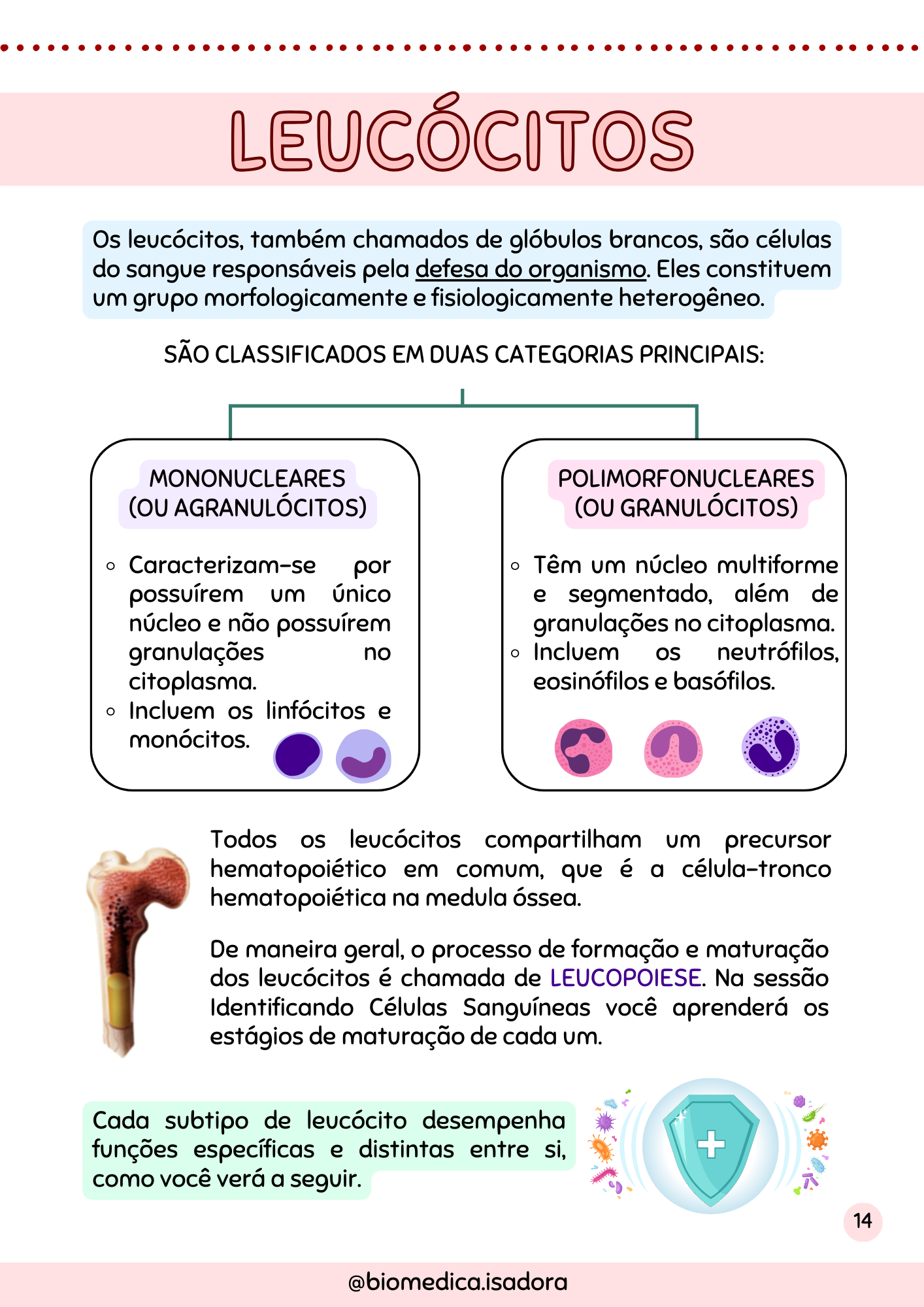 Resumo de Hematologia (8)
