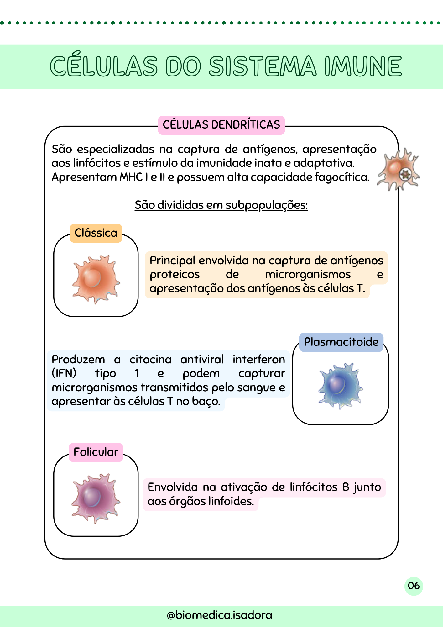 Resumo de Imunologia (3)