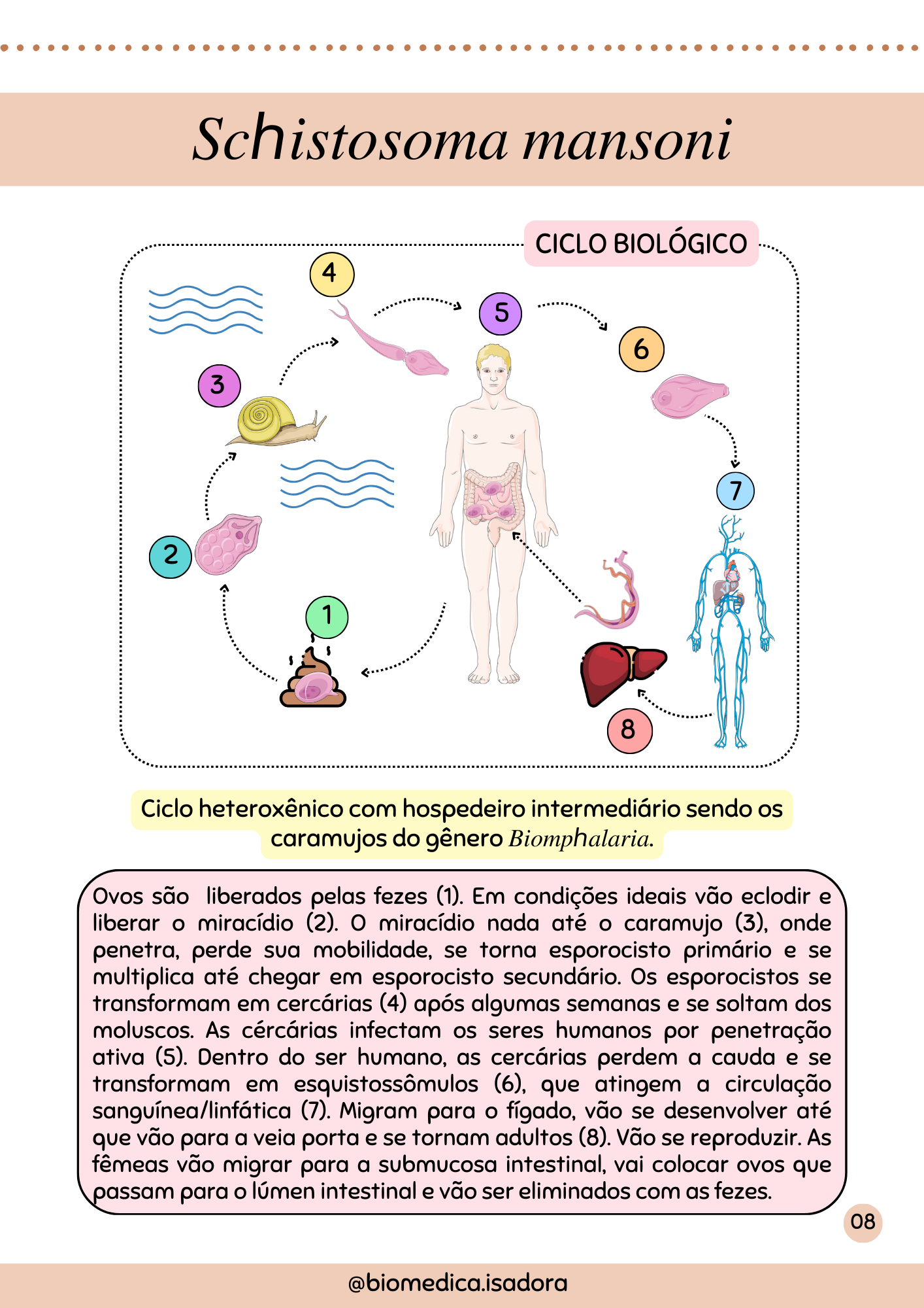 Resumo de parasitologia (1)