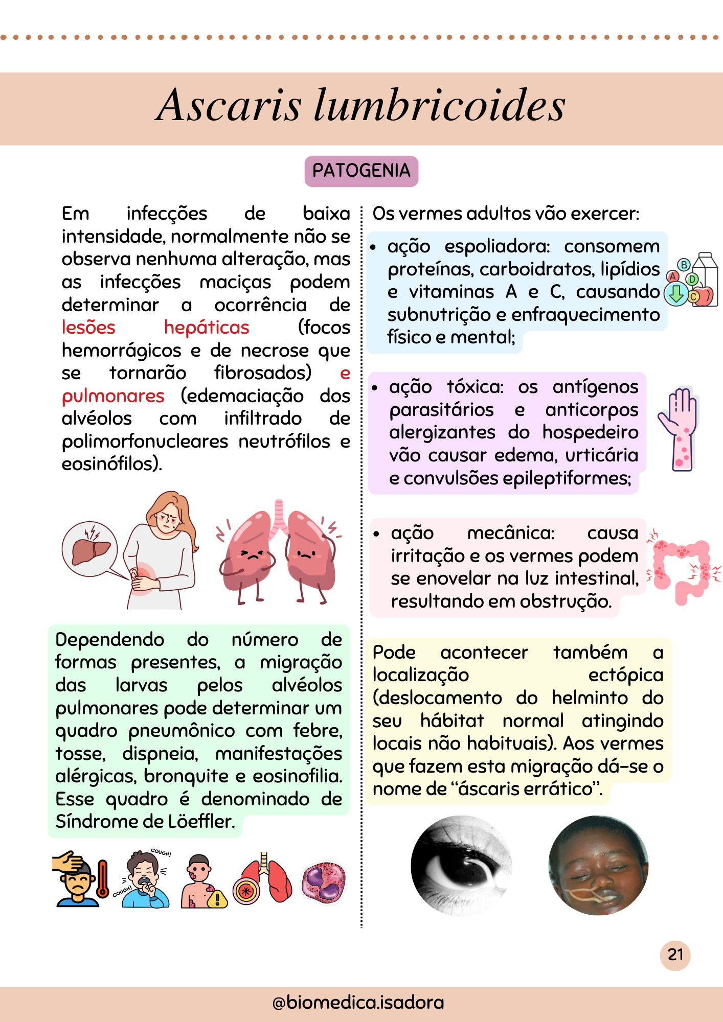 Resumo de parasitologia (2)
