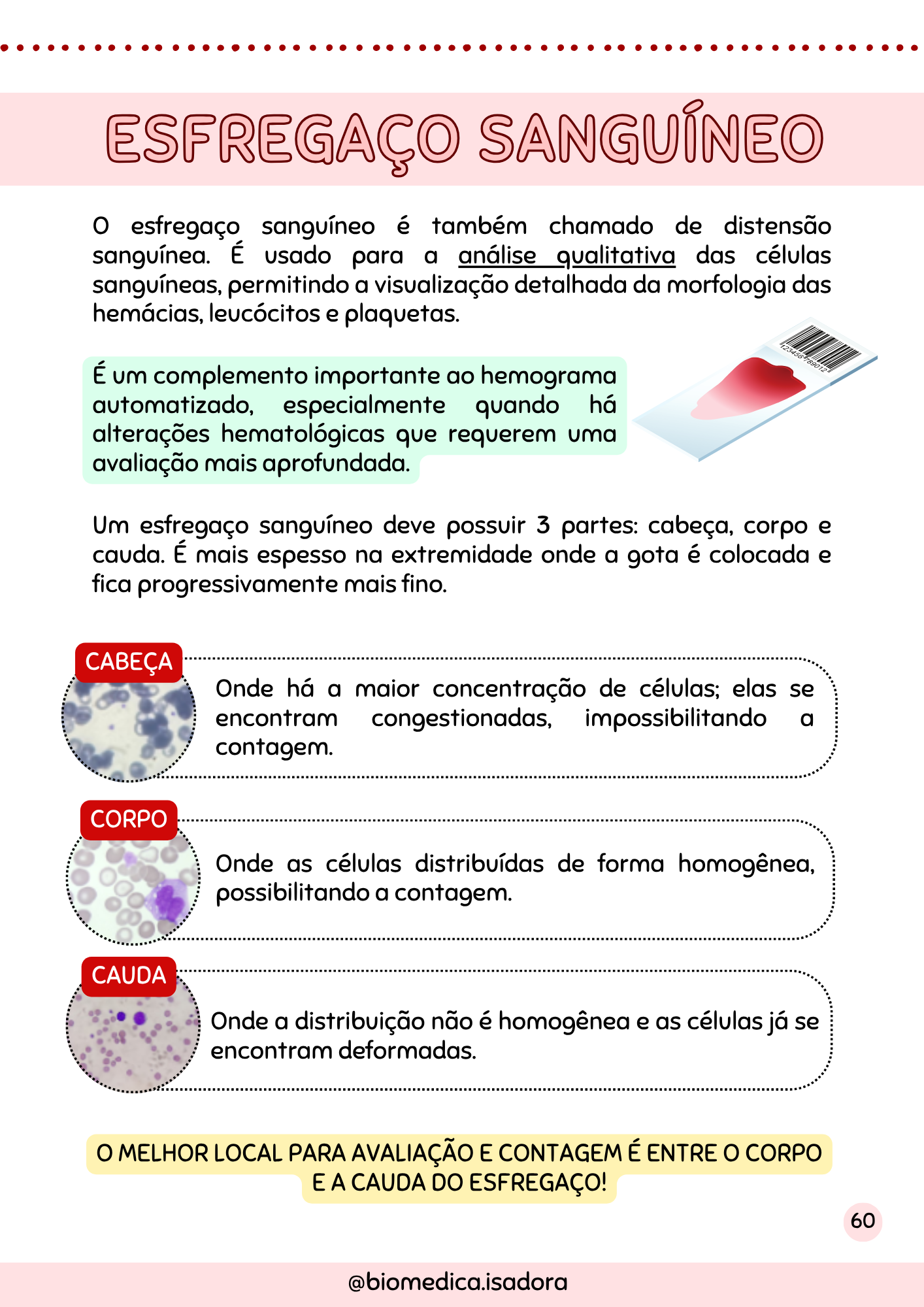 Resumo de Hematologia (15)