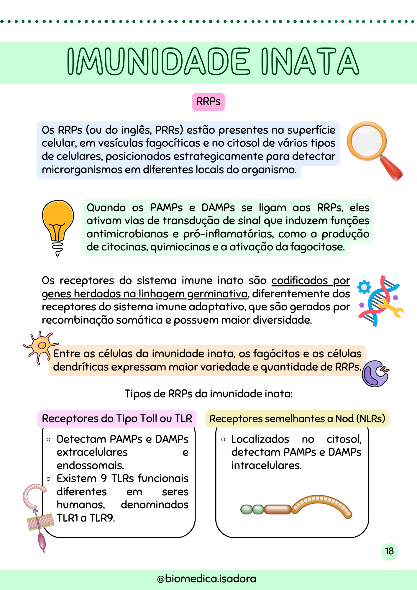 Resumo de Imunologia (6)