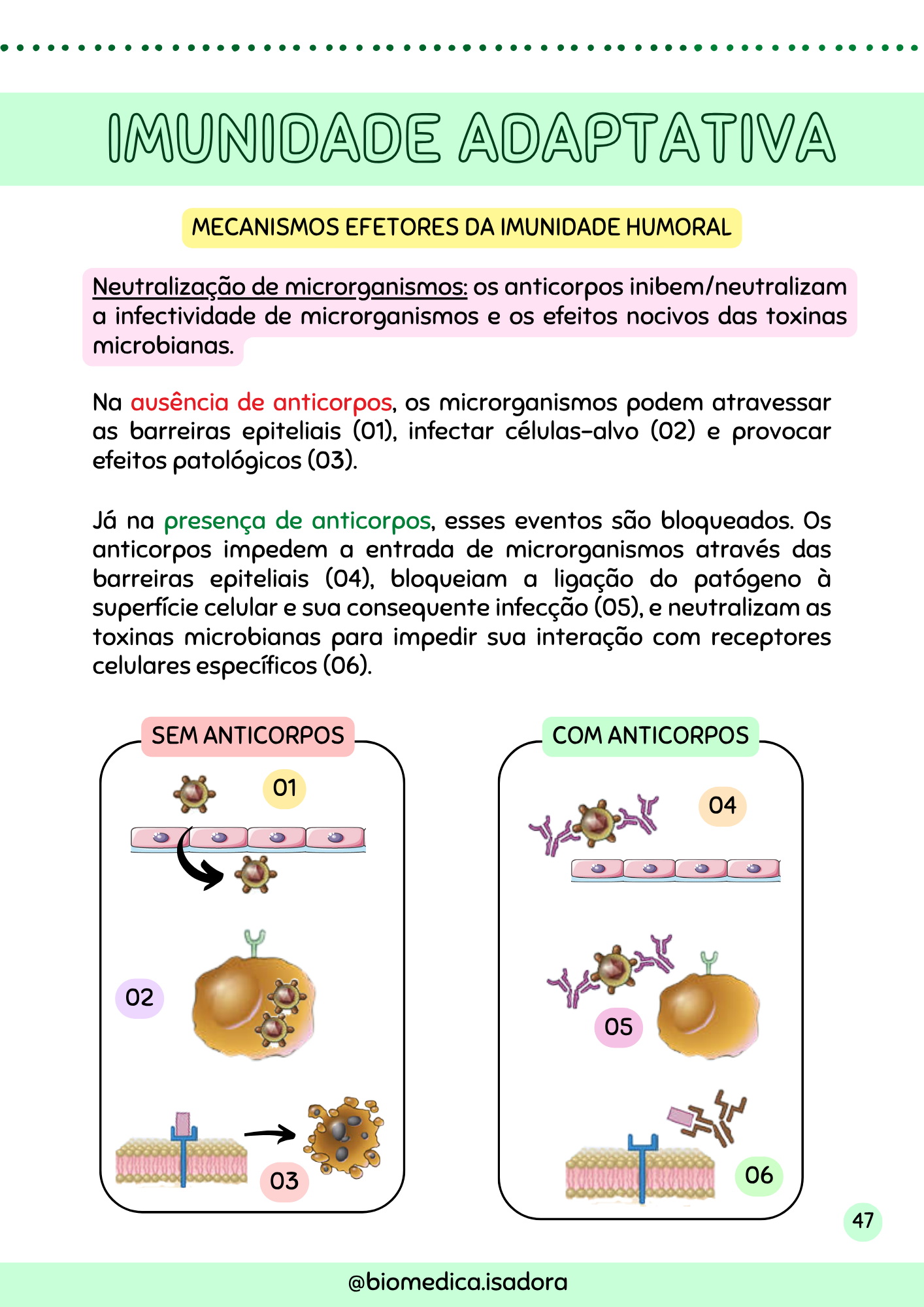 Resumo de Imunologia (8)