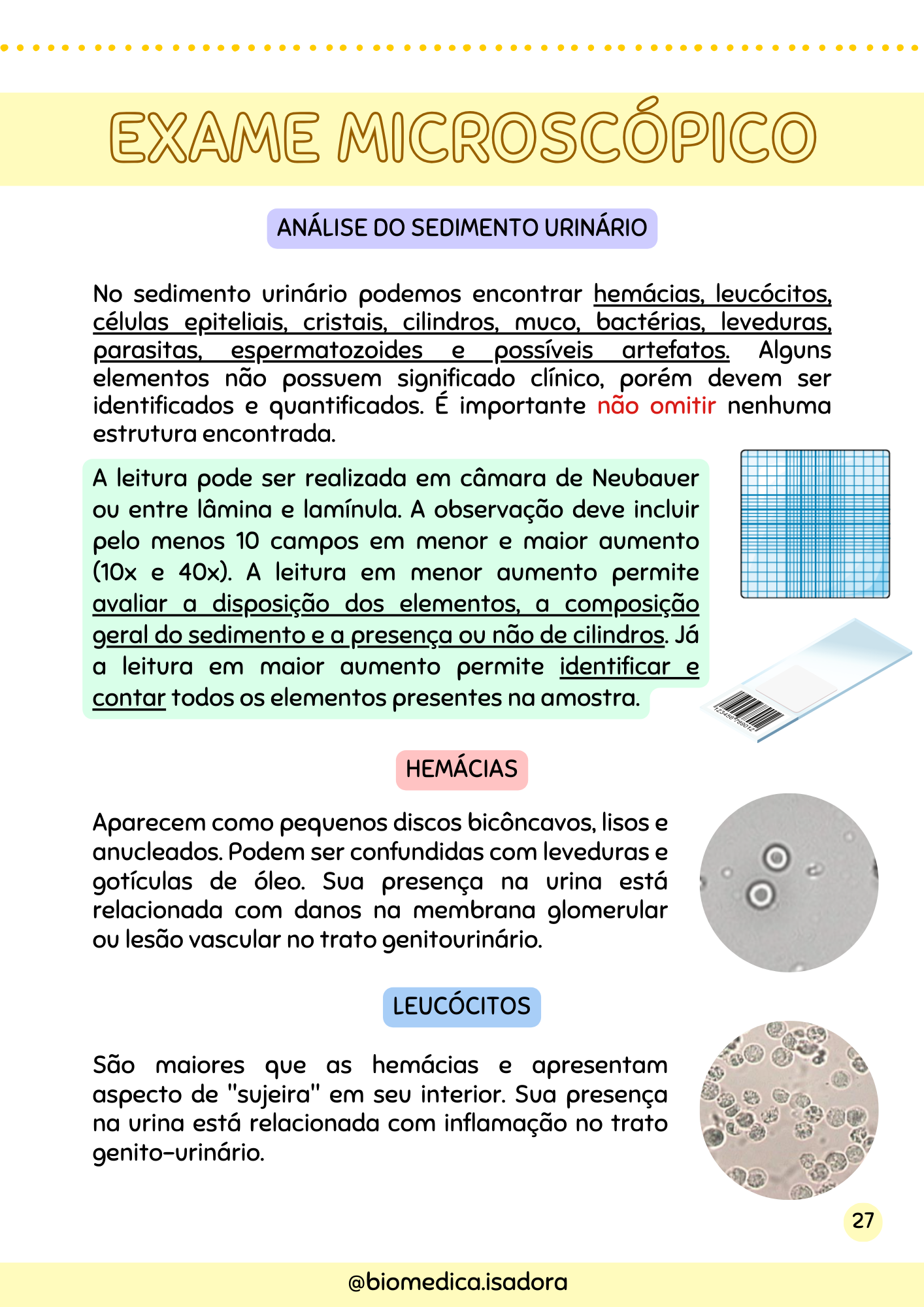 Resumo de Urinálise (11)