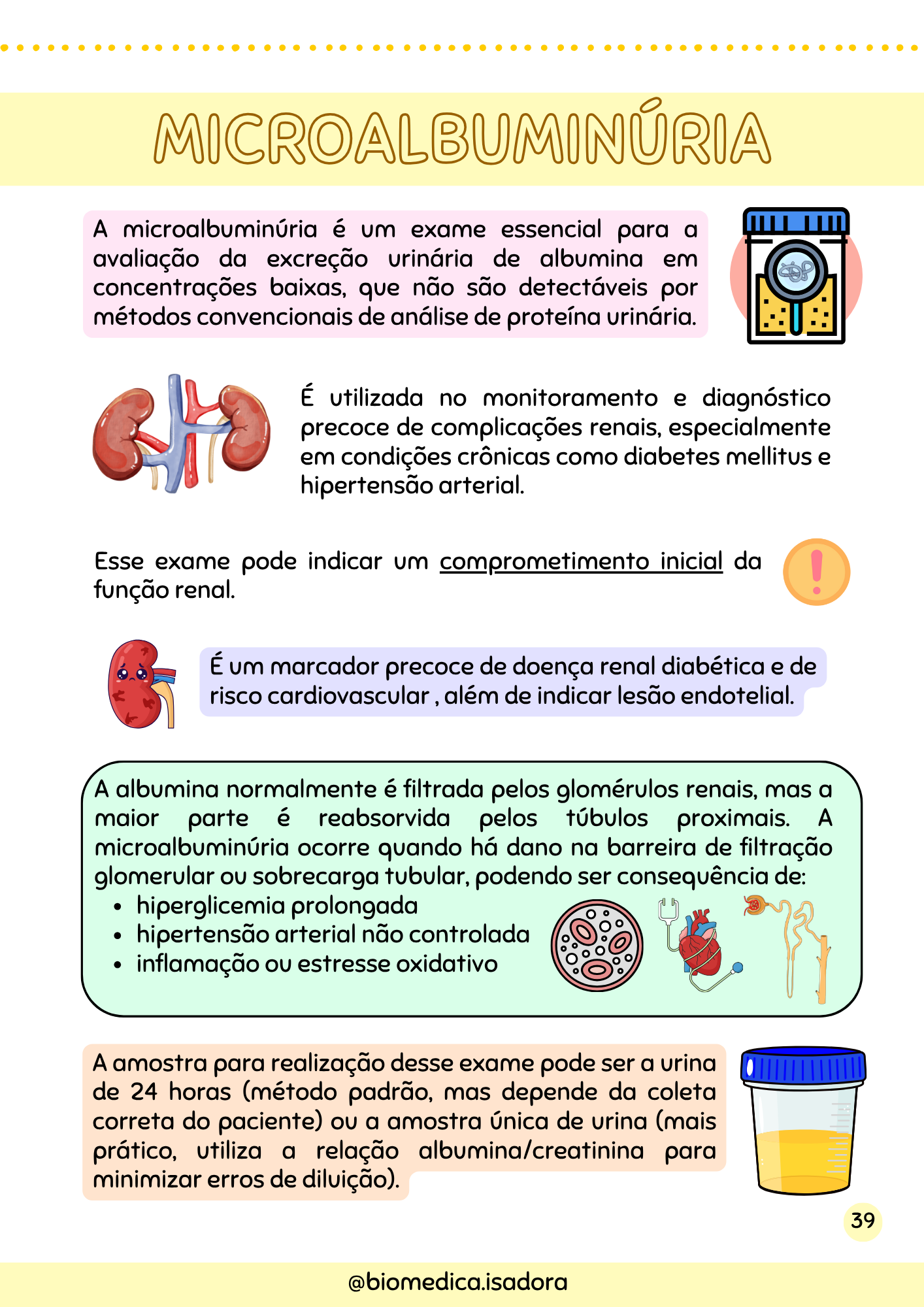 Resumo de Urinálise (12)